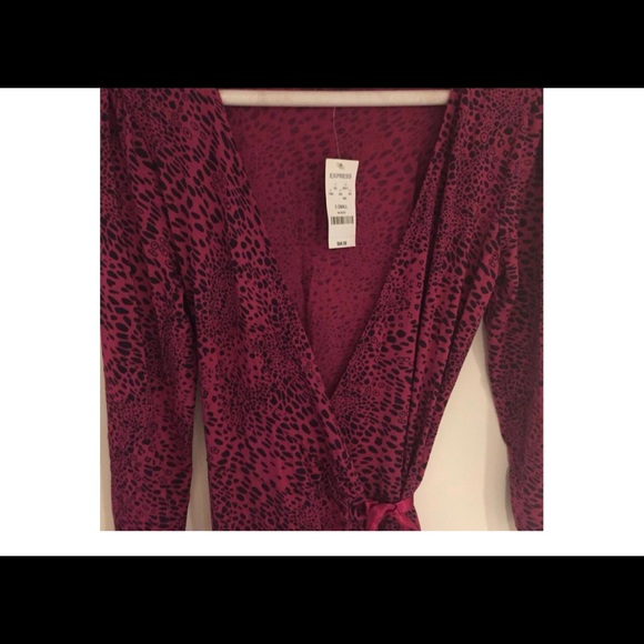 Express Dress - Picture 2 of 3